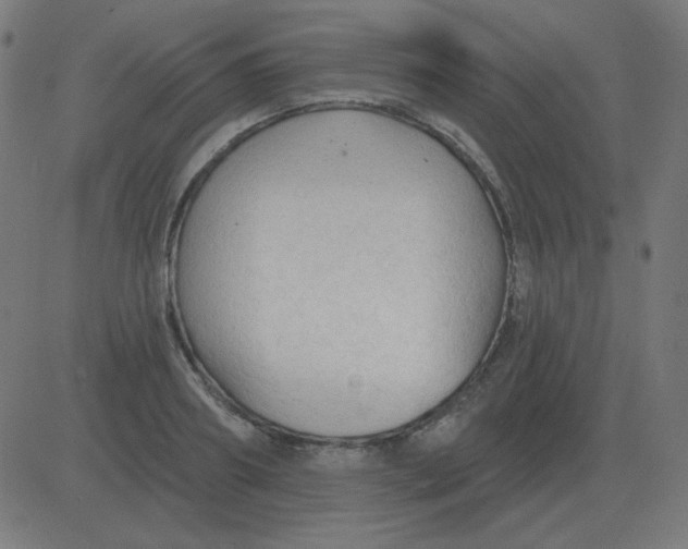 X0000081280890200702012216