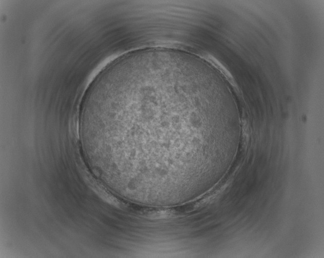 X0000081280891200702012216