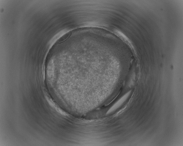 X0000081280892200702012216