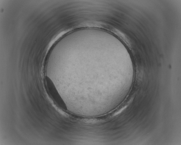 X0000081280893200702012216