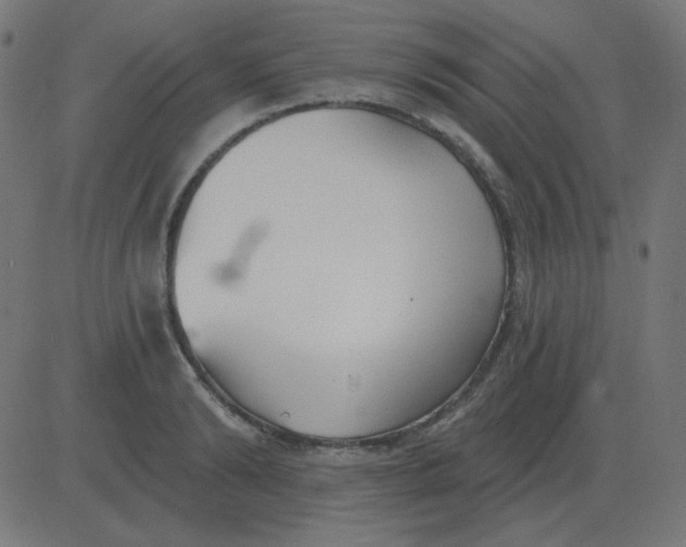 X0000081280894200702012216