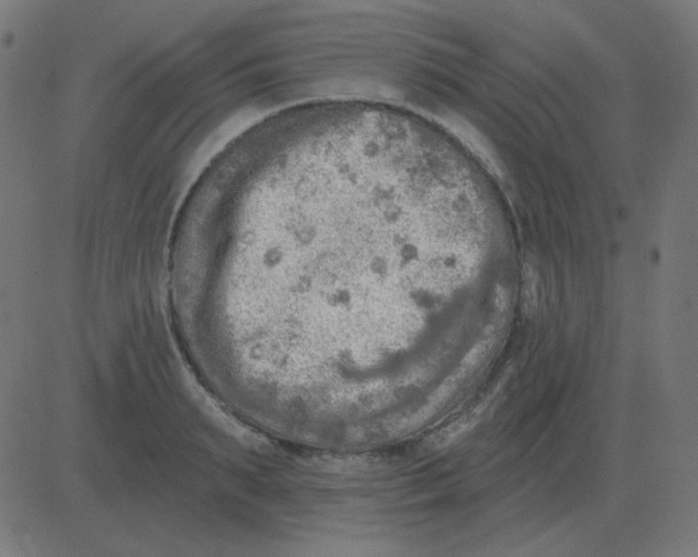 X0000081280895200702012216