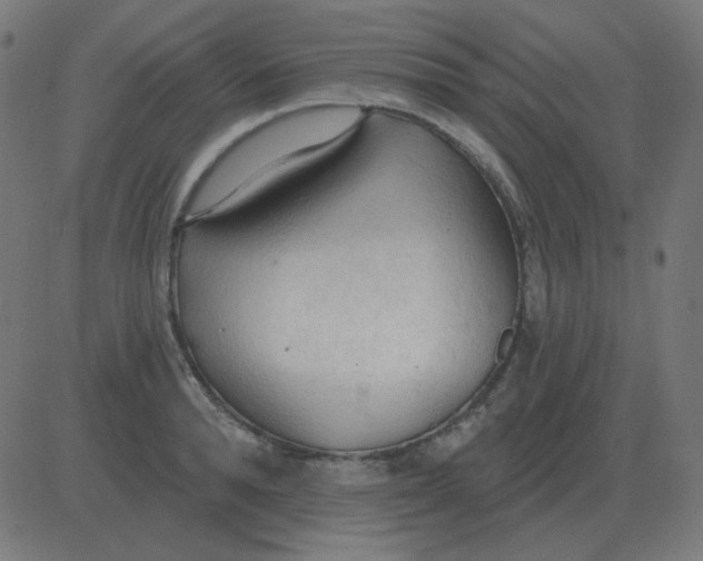 X0000081280896200702012216