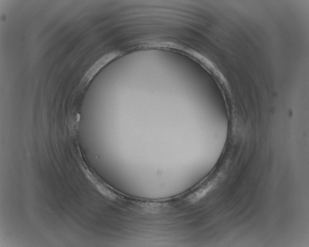 X0000081280897200702012216