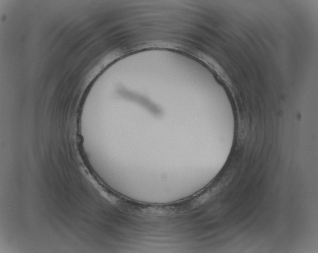 X0000081280898200702012216