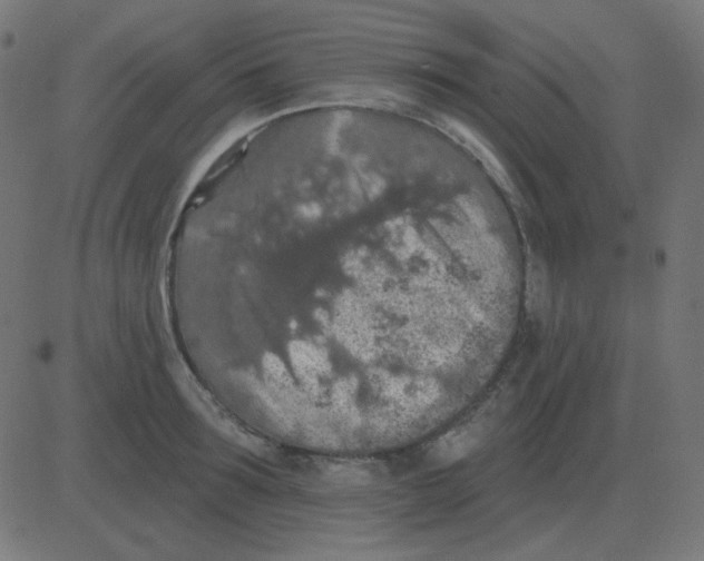 X0000081280899200702012216