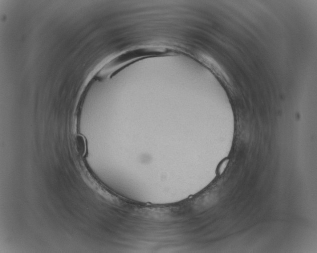 X0000081280900200702012216