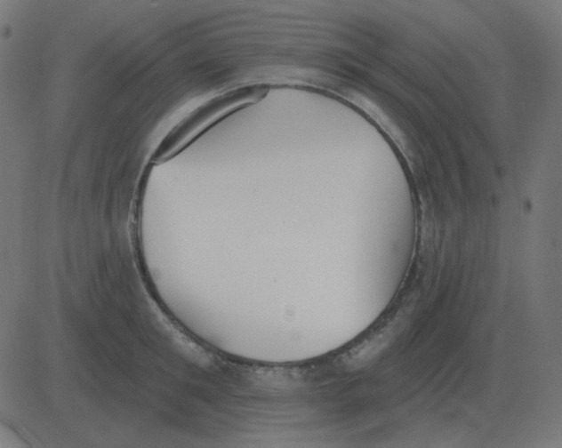 X0000081280901200702012216