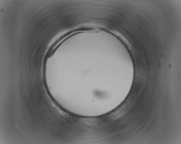 X0000081280902200702012216