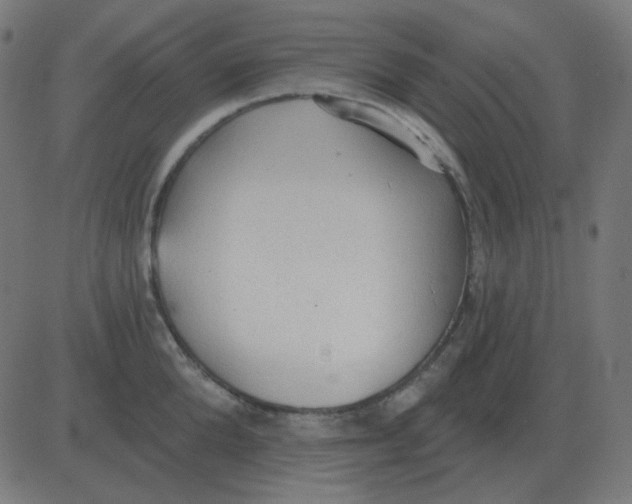 X0000081280904200702012215