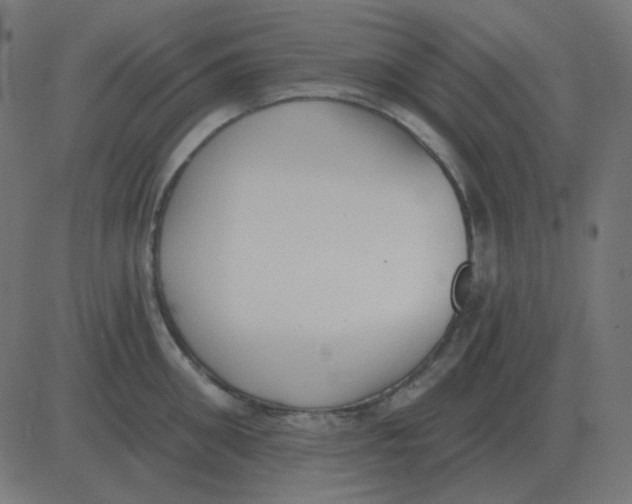 X0000081280906200702012215