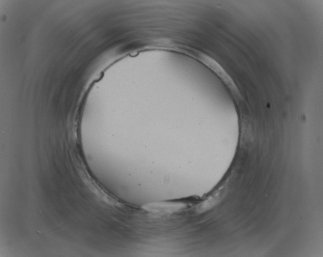 X0000081280908200702012215