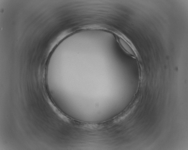 X0000081280909200702012215