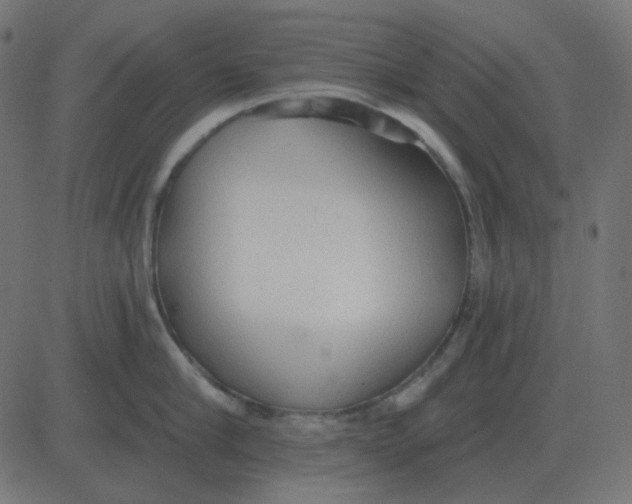 X0000081280910200702012215