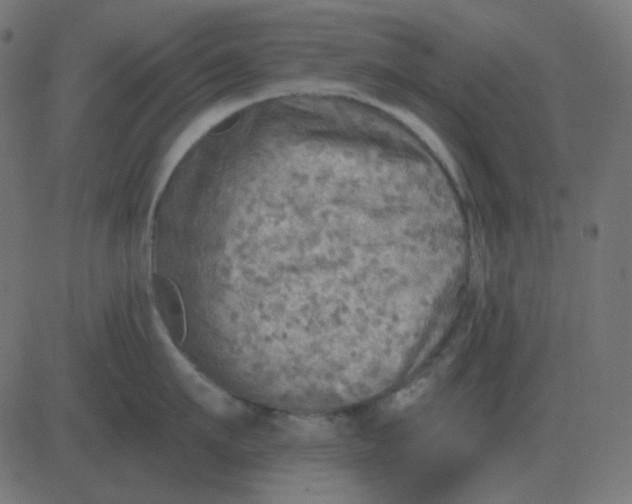 X0000081280911200702012215