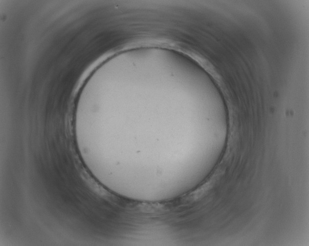 X0000081280912200702012215