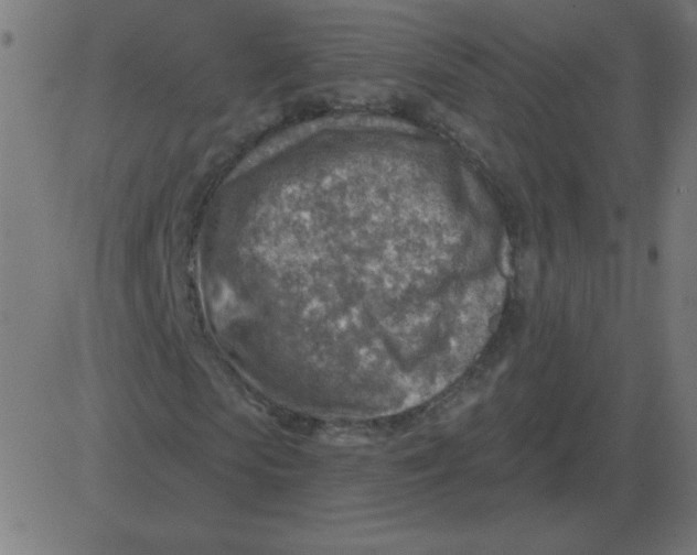 X0000081280913200702012215