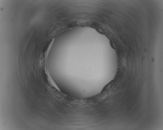 X0000081280914200702012215