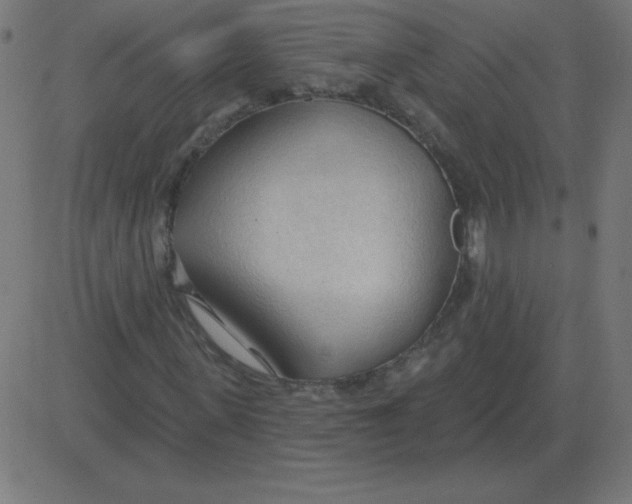 X0000081280915200702012215