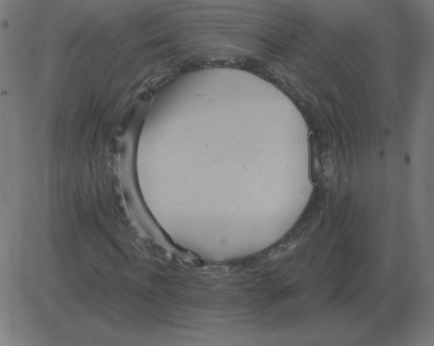 X0000081280916200702012215