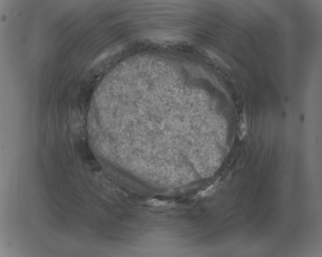 X0000081280917200702012215