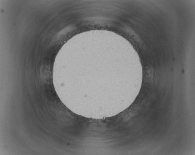 X0000081280918200702012215