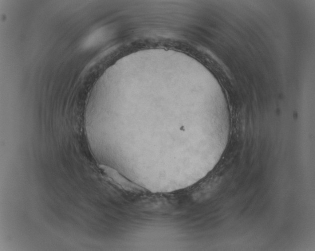 X0000081280919200702012215