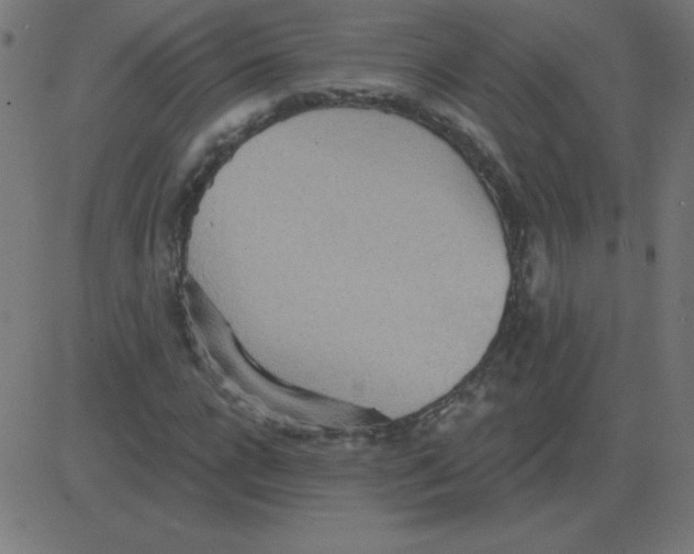 X0000081280920200702012215