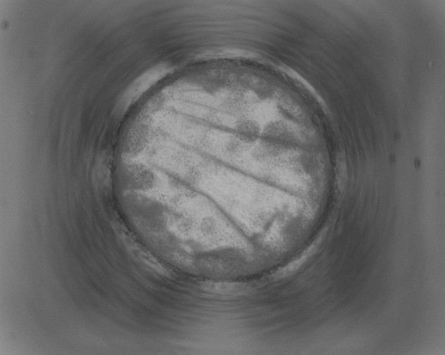 X0000081280921200702012215