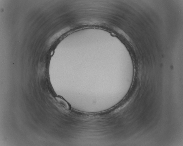 X0000081280922200702012215