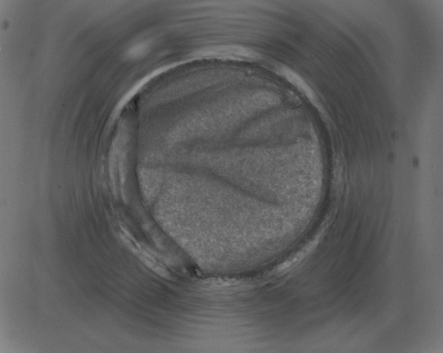 X0000081280923200702012215