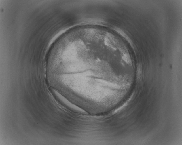 X0000081280925200702012215