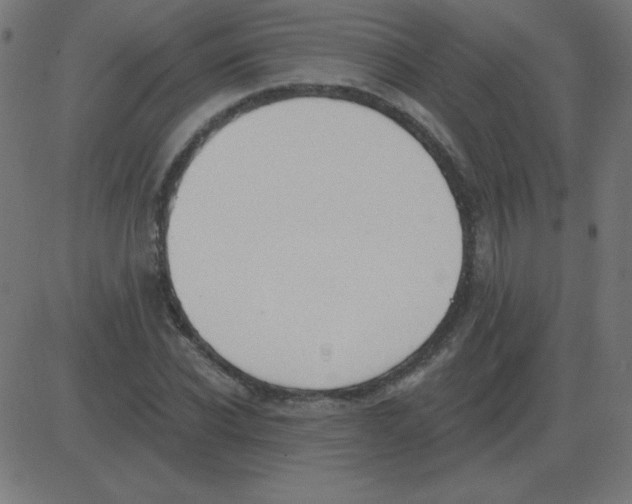 X0000081280926200702012215