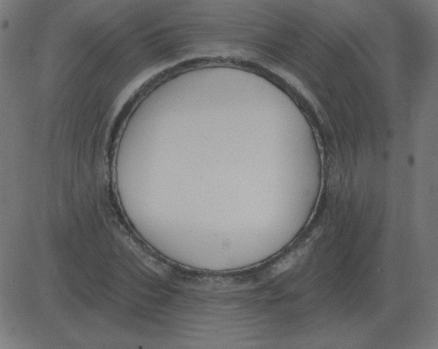 X0000081280927200702012215