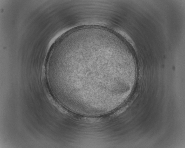 X0000081280928200702012215