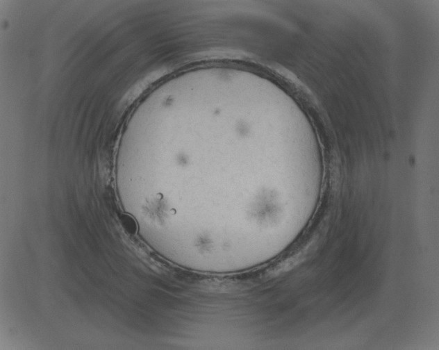 X0000081280929200702012215