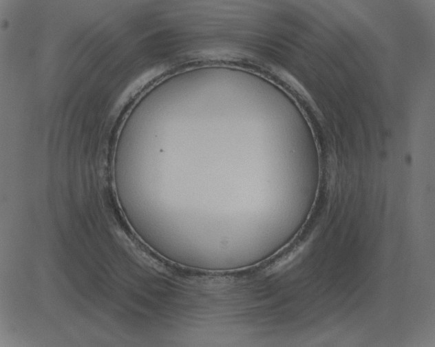 X0000081280930200702012215