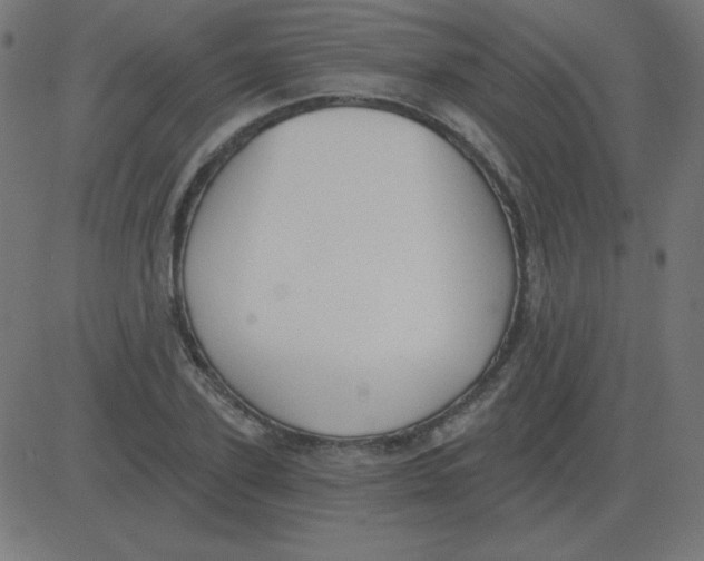 X0000081280931200702012215