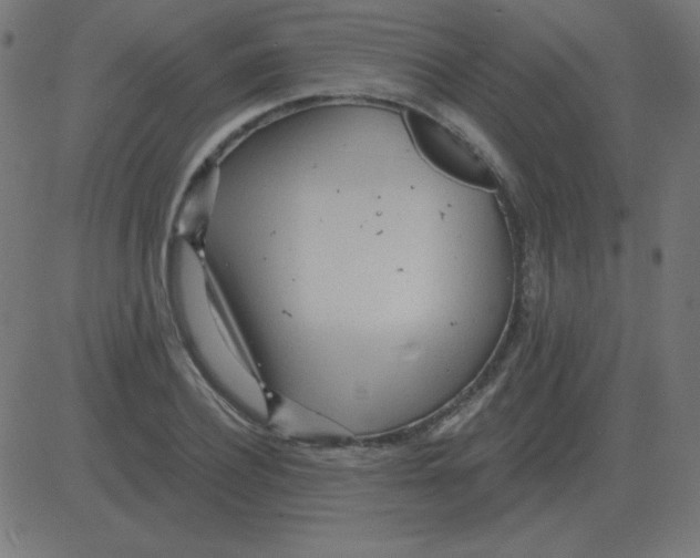 X0000081280932200702012215