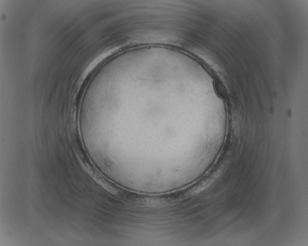 X0000081280933200702012215