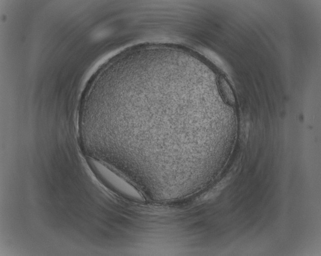 X0000081280935200702012215