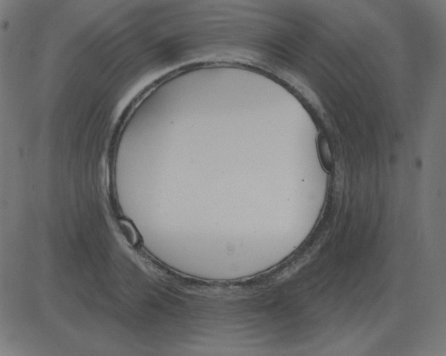 X0000081280936200702012215