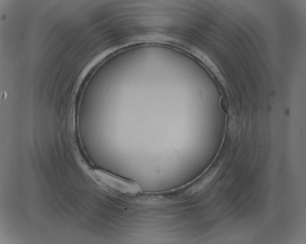 X0000081280939200702012215