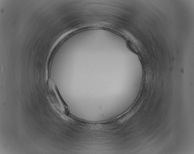 X0000081280940200702012215