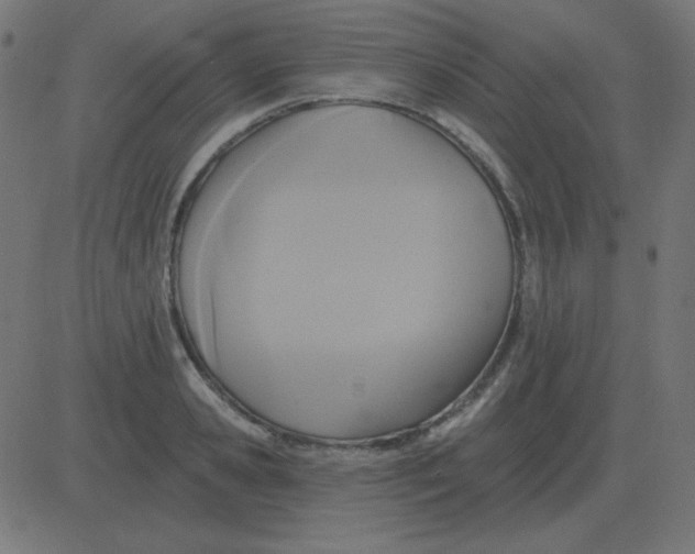 X0000081280941200702012215