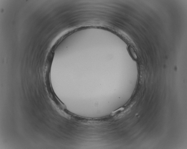 X0000081280942200702012215