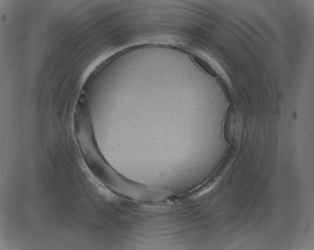 X0000081280944200702012215