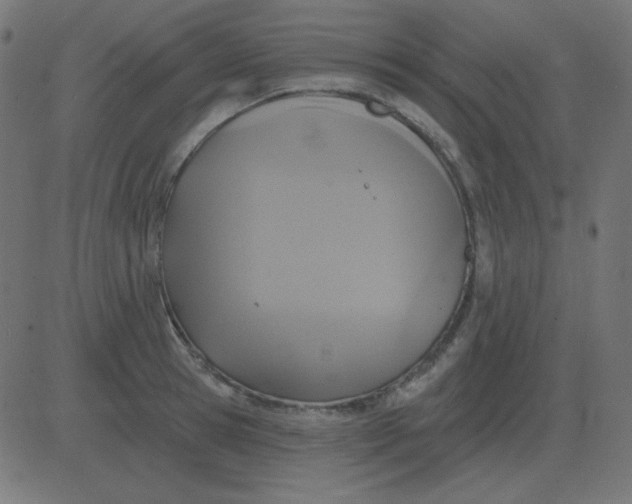 X0000081280945200702012215