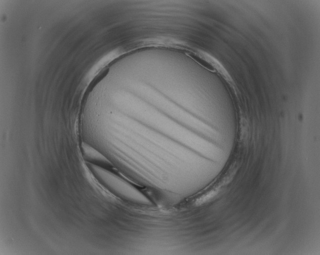 X0000081280946200702012215