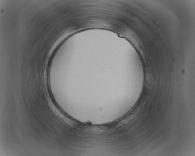 X0000081280947200702012215